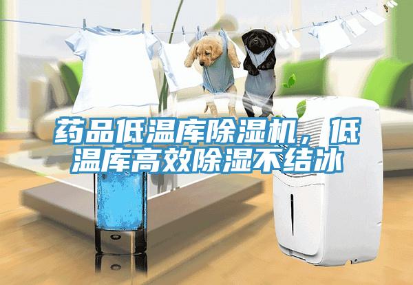 藥品低溫庫除濕機，低溫庫高效除濕不結冰