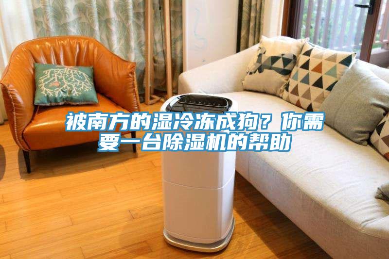 被南方的濕冷凍成狗？你需要一臺(tái)除濕機(jī)的幫助