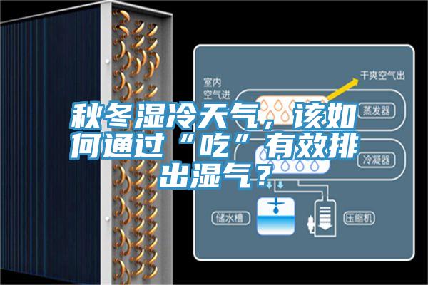 秋冬濕冷天氣，該如何通過“吃”有效排出濕氣？