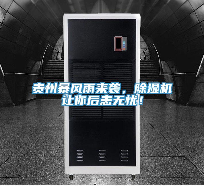 貴州暴風(fēng)雨來襲，除濕機(jī)讓你后患無憂！