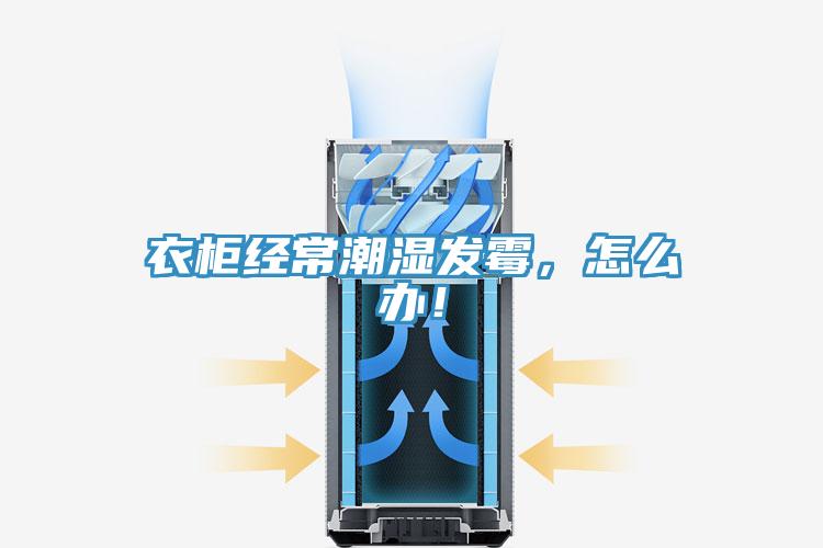 衣柜經(jīng)常潮濕發(fā)霉，怎么辦！