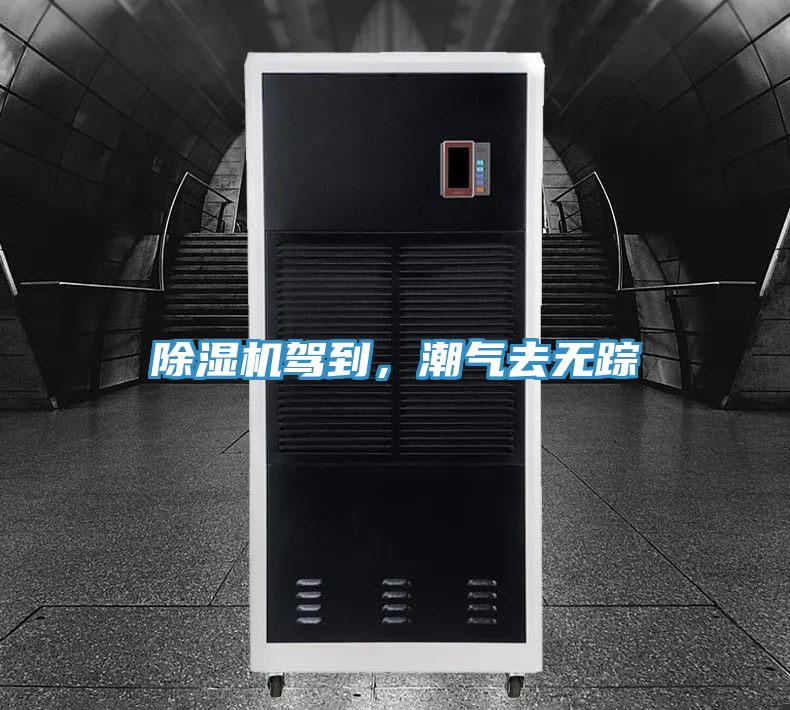除濕機(jī)駕到，潮氣去無(wú)蹤