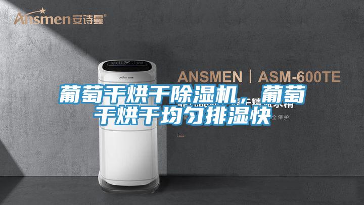 葡萄干烘干除濕機(jī)，葡萄干烘干均勻排濕快