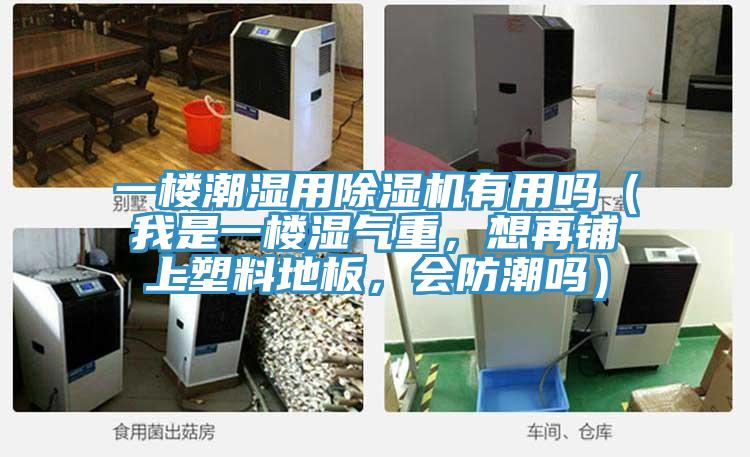 一樓潮濕用除濕機(jī)有用嗎（我是一樓濕氣重，想再鋪上塑料地板，會(huì)防潮嗎）