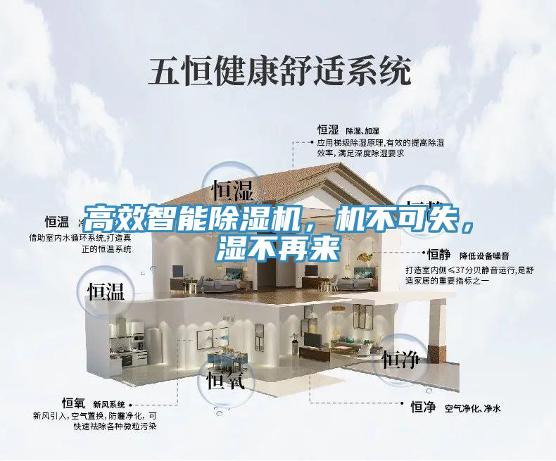 高效智能除濕機(jī)，機(jī)不可失，濕不再來