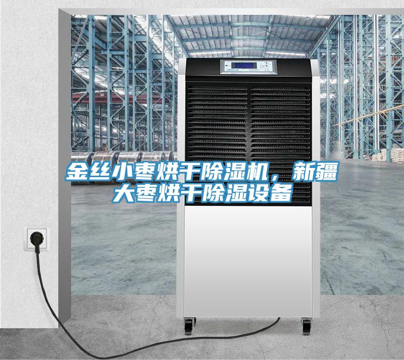 金絲小棗烘干除濕機，新疆大棗烘干除濕設(shè)備