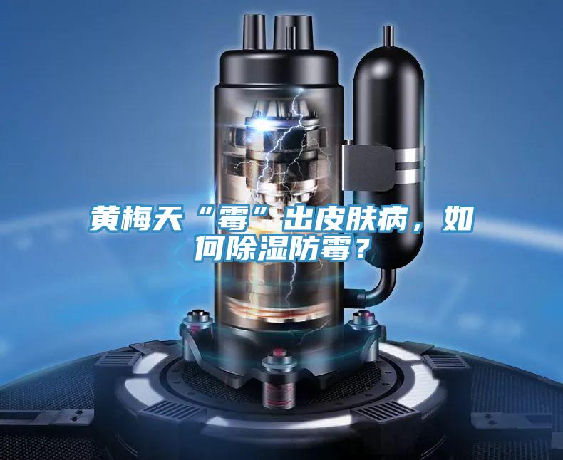 黃梅天“霉”出皮膚病，如何除濕防霉？
