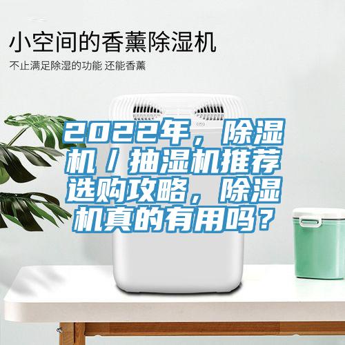 2022年，除濕機／抽濕機推薦選購攻略，除濕機真的有用嗎？