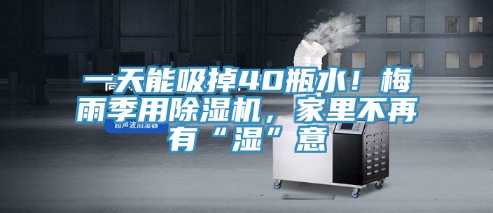 一天能吸掉40瓶水！梅雨季用除濕機(jī)，家里不再有“濕”意