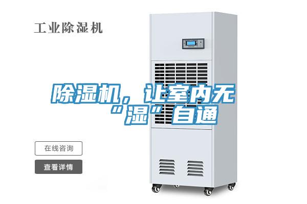 除濕機，讓室內(nèi)無“濕”自通