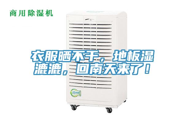 衣服曬不干，地板濕漉漉，回南天來(lái)了！