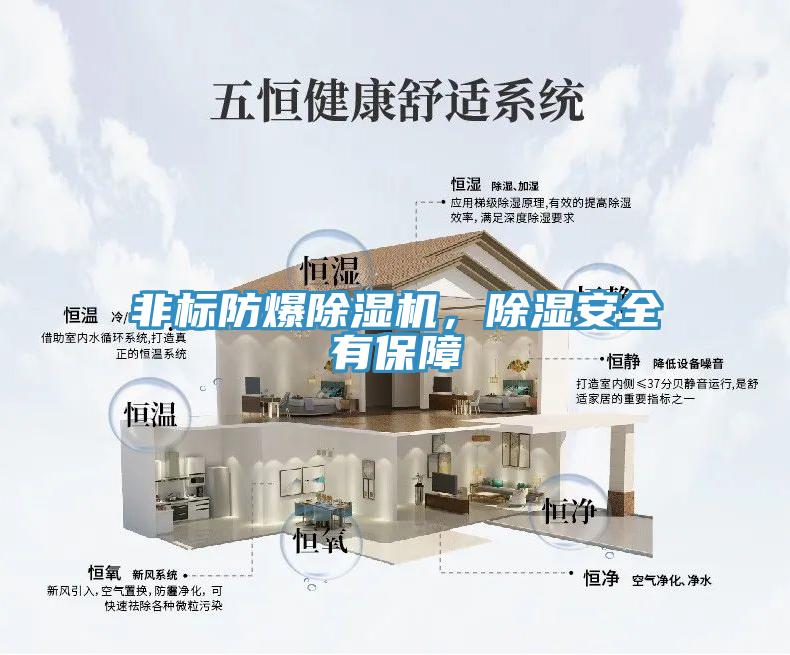 非標(biāo)防爆除濕機，除濕安全有保障
