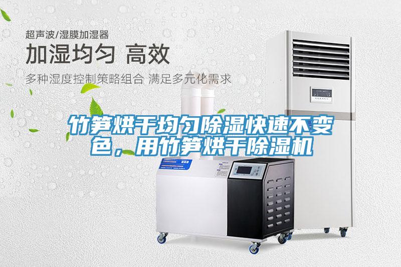 竹筍烘干均勻除濕快速不變色，用竹筍烘干除濕機(jī)