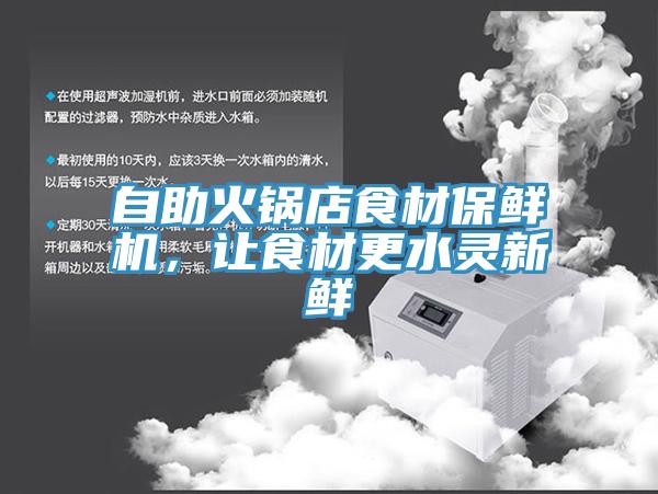 自助火鍋店食材保鮮機，讓食材更水靈新鮮