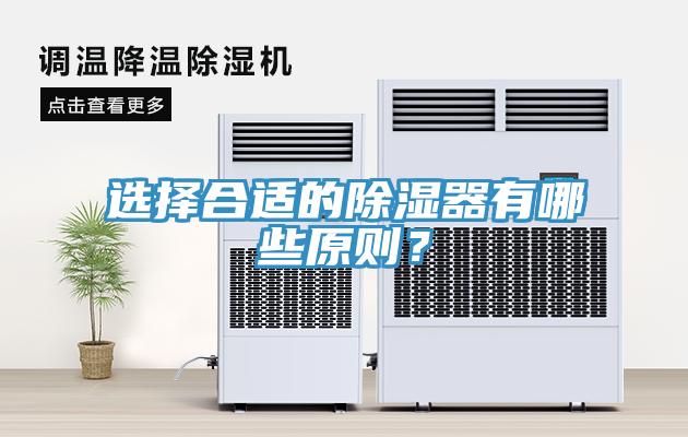 選擇合適的除濕器有哪些原則？
