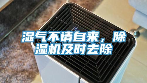 濕氣不請(qǐng)自來(lái)，除濕機(jī)及時(shí)去除
