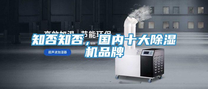 知否知否，國內(nèi)十大除濕機品牌
