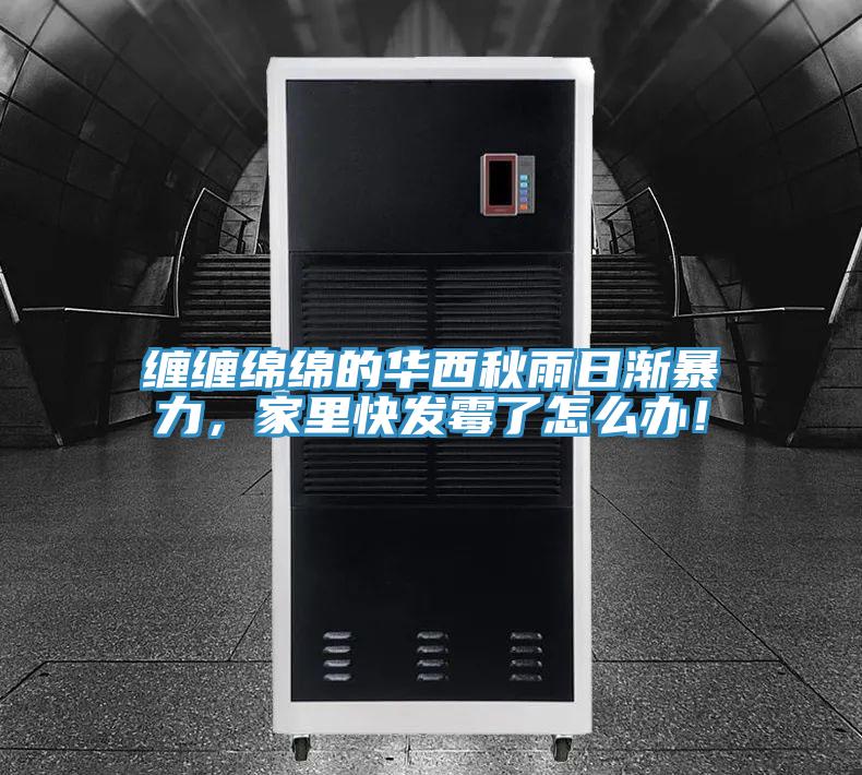 纏纏綿綿的華西秋雨日漸暴力，家里快發(fā)霉了怎么辦！