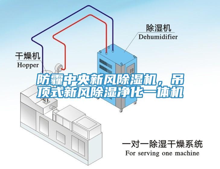 防霾中央新風除濕機，吊頂式新風除濕凈化一體機