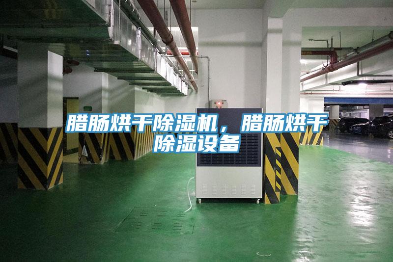 臘腸烘干除濕機，臘腸烘干除濕設備