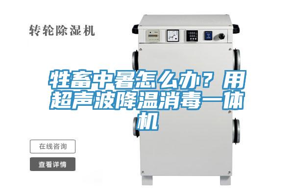 牲畜中暑怎么辦？用超聲波降溫消毒一體機(jī)
