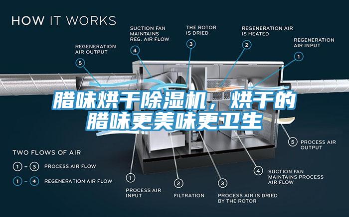 臘味烘干除濕機，烘干的臘味更美味更衛(wèi)生