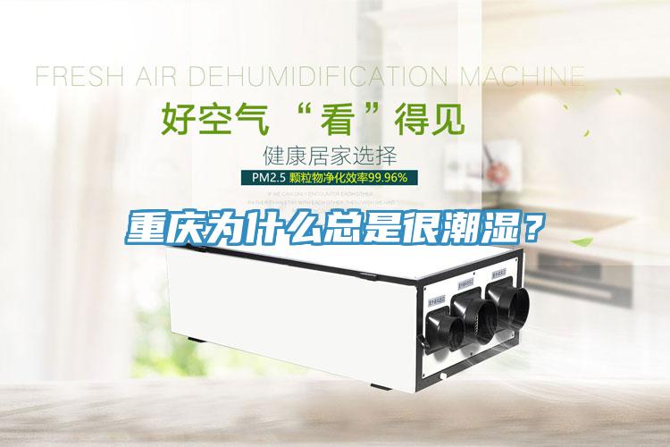 重慶為什么總是很潮濕？