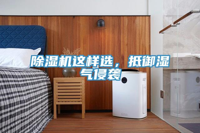 除濕機這樣選，抵御濕氣侵襲