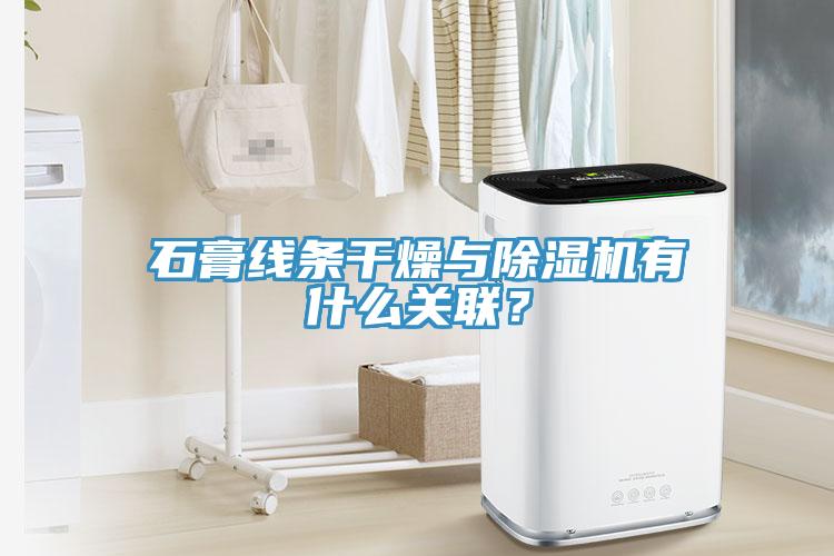 石膏線條干燥與除濕機有什么關(guān)聯(lián)？