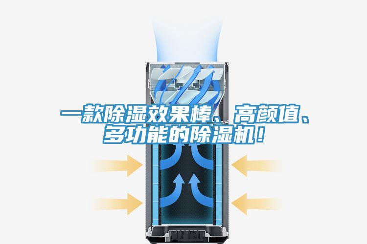 一款除濕效果棒、高顏值、多功能的除濕機(jī)！