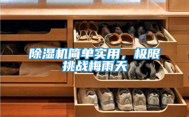 除濕機(jī)簡單實用，極限挑戰(zhàn)梅雨天