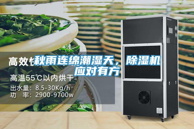 秋雨連綿潮濕天，除濕機(jī)應(yīng)對(duì)有方
