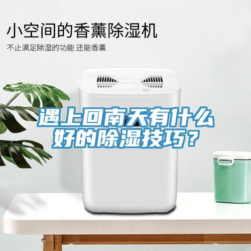 遇上回南天有什么好的除濕技巧？