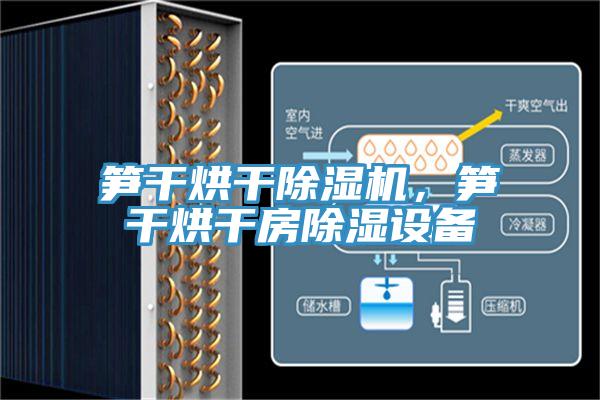 筍干烘干除濕機(jī)，筍干烘干房除濕設(shè)備