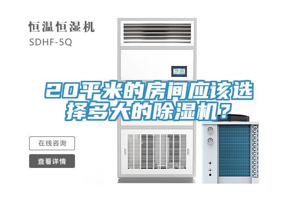 20平米的房間應該選擇多大的除濕機？