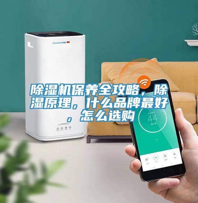 除濕機(jī)保養(yǎng)全攻略，除濕原理，什么品牌最好，怎么選購(gòu)