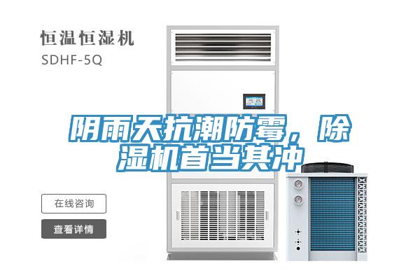 陰雨天抗潮防霉，除濕機(jī)首當(dāng)其沖