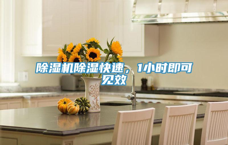 除濕機除濕快速，1小時即可見效
