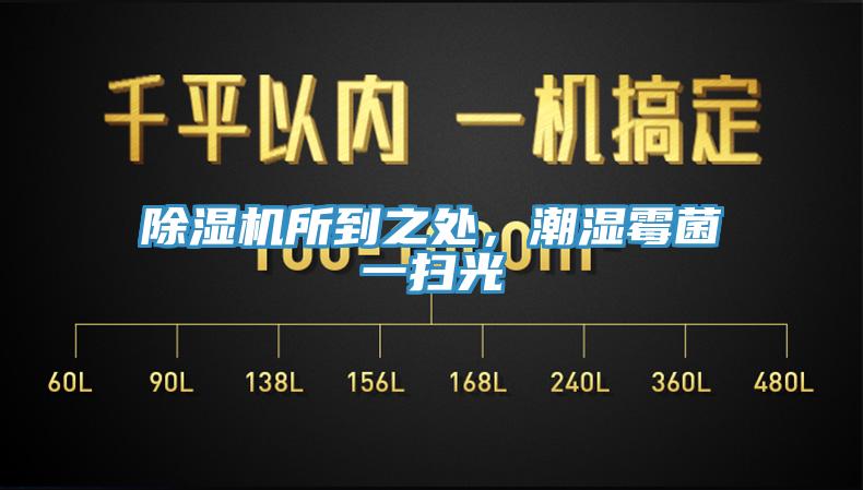 除濕機(jī)所到之處，潮濕霉菌一掃光