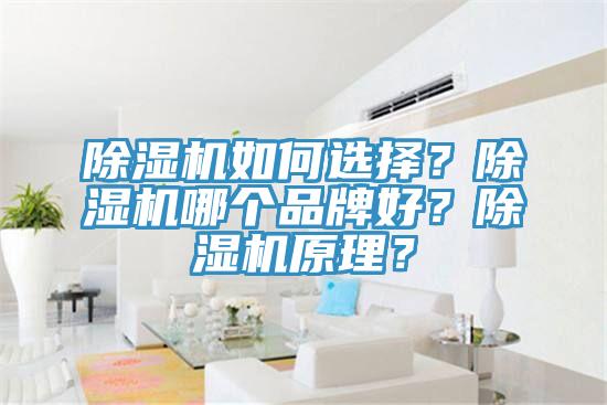 除濕機(jī)如何選擇？除濕機(jī)哪個(gè)品牌好？除濕機(jī)原理？