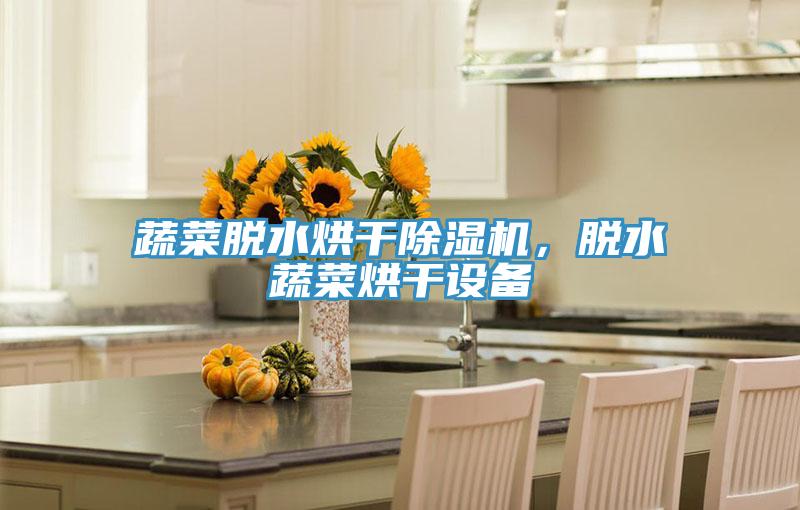 蔬菜脫水烘干除濕機(jī)，脫水蔬菜烘干設(shè)備