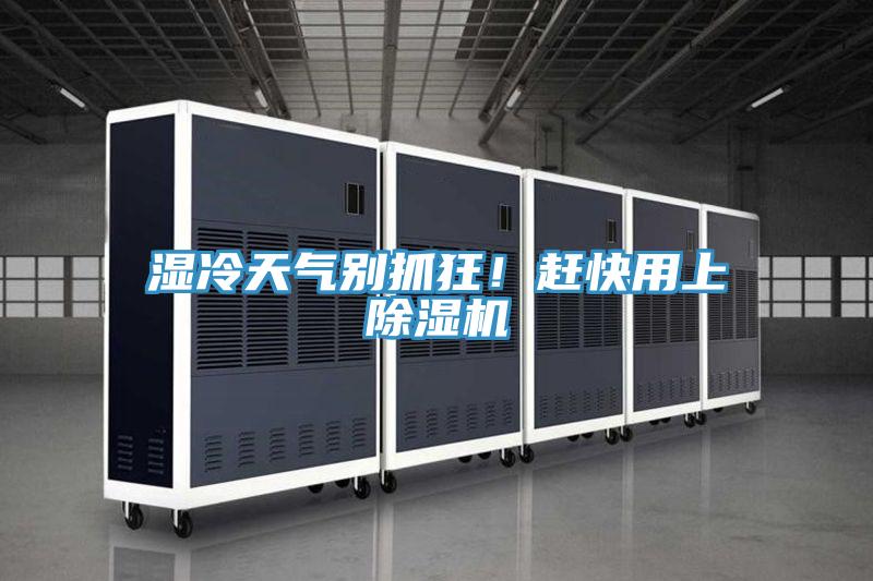 濕冷天氣別抓狂！趕快用上除濕機