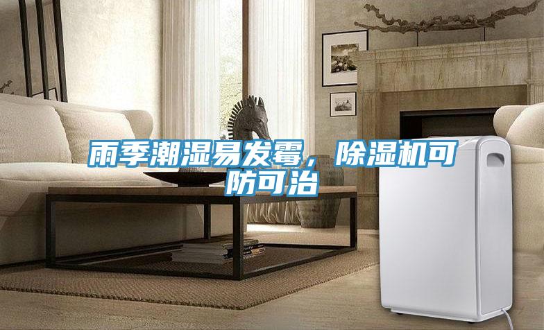 雨季潮濕易發(fā)霉，除濕機(jī)可防可治