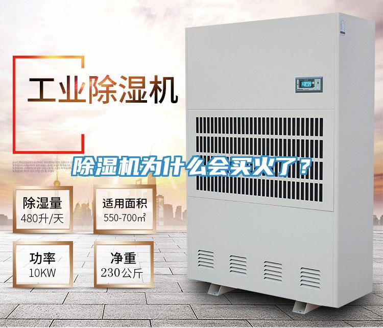 除濕機為什么會買火了？