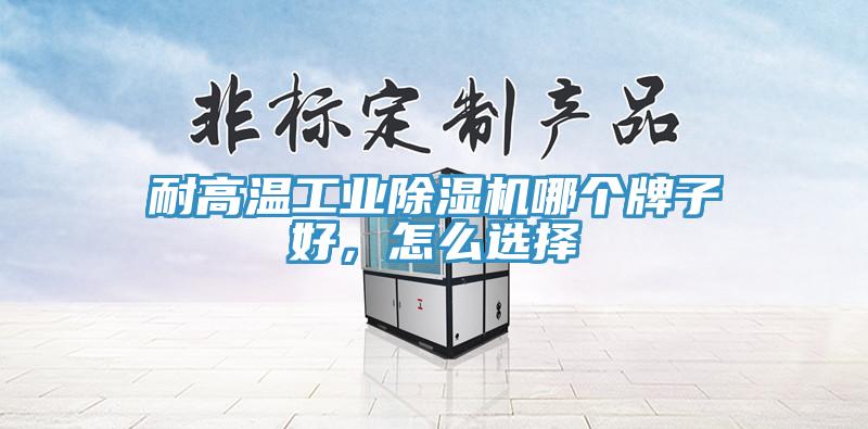 耐高溫工業(yè)除濕機(jī)哪個(gè)牌子好，怎么選擇