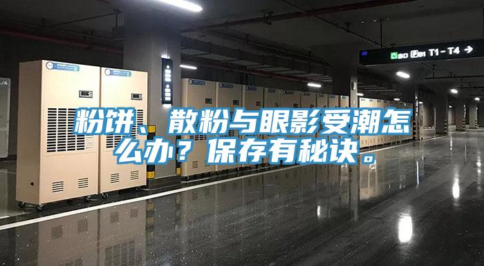 粉餅、散粉與眼影受潮怎么辦？保存有秘訣。