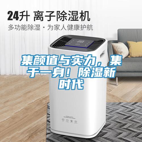 集顏值與實(shí)力，集于一身！除濕新時(shí)代