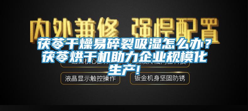 茯苓干燥易碎裂吸濕怎么辦？茯苓烘干機助力企業(yè)規(guī)?；a(chǎn)!