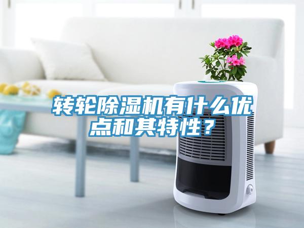 轉(zhuǎn)輪除濕機(jī)有什么優(yōu)點(diǎn)和其特性？