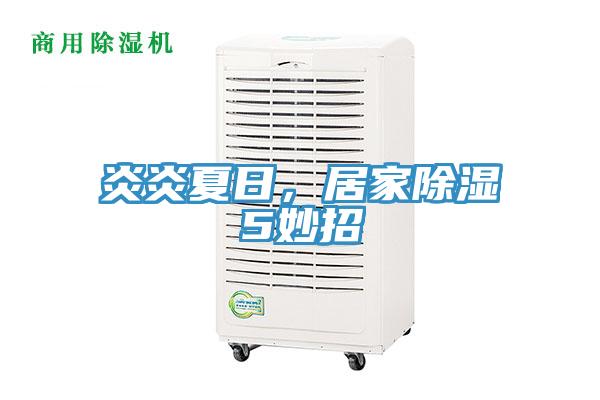 炎炎夏日，居家除濕5妙招